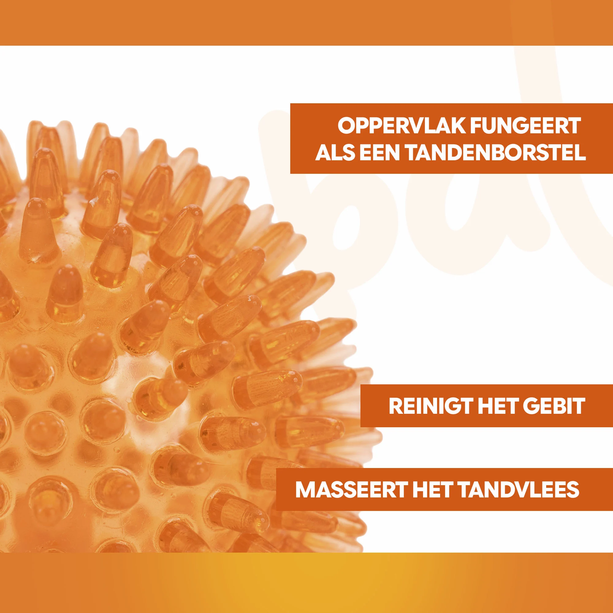 Balle pour chien à picots souples M – Holland Oranje Egelbal – Image 3