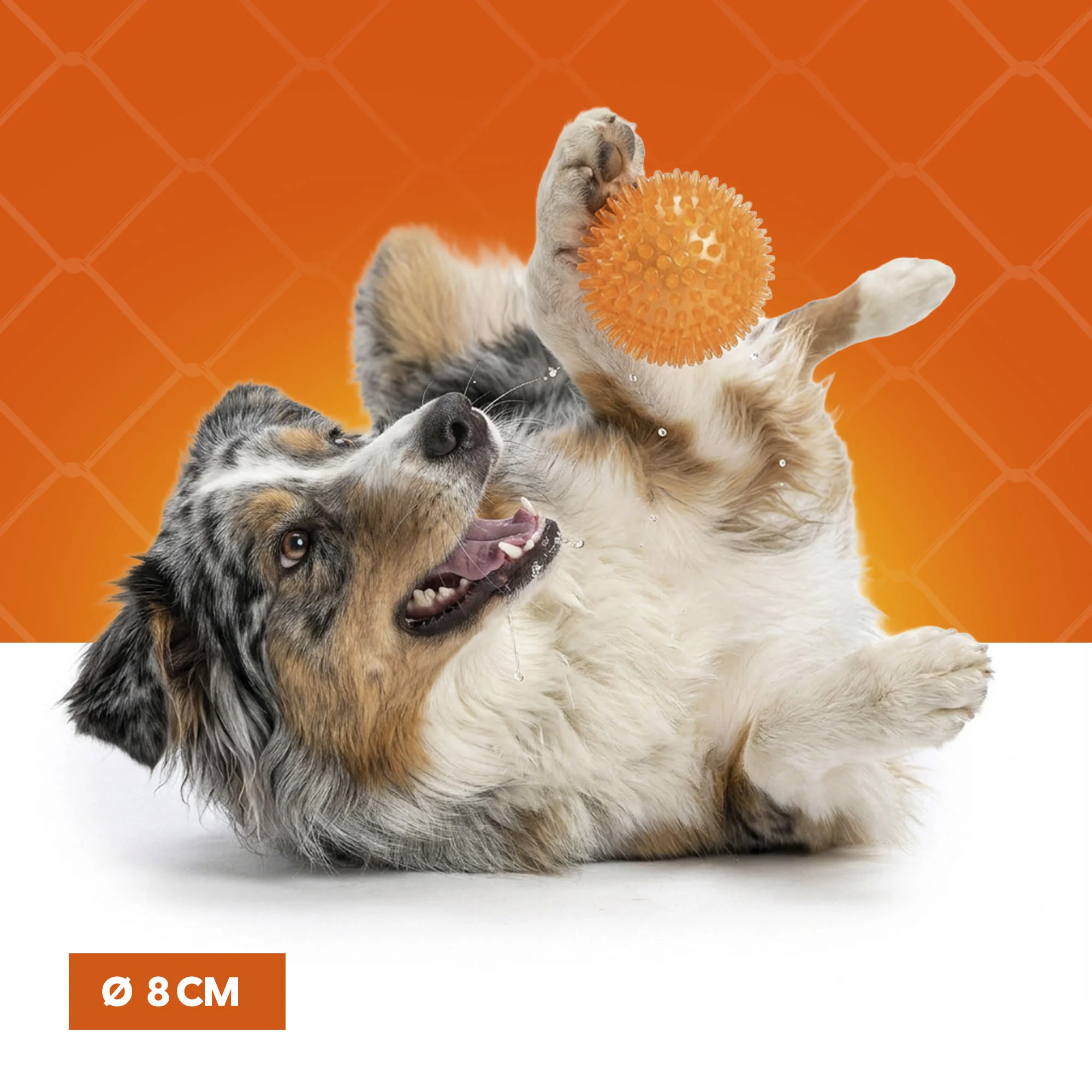 Balle pour chien à picots souples M – Holland Oranje Egelbal – Image 4