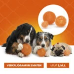 Balle pour chien à picots souples M – Holland Oranje Egelbal – Image 6