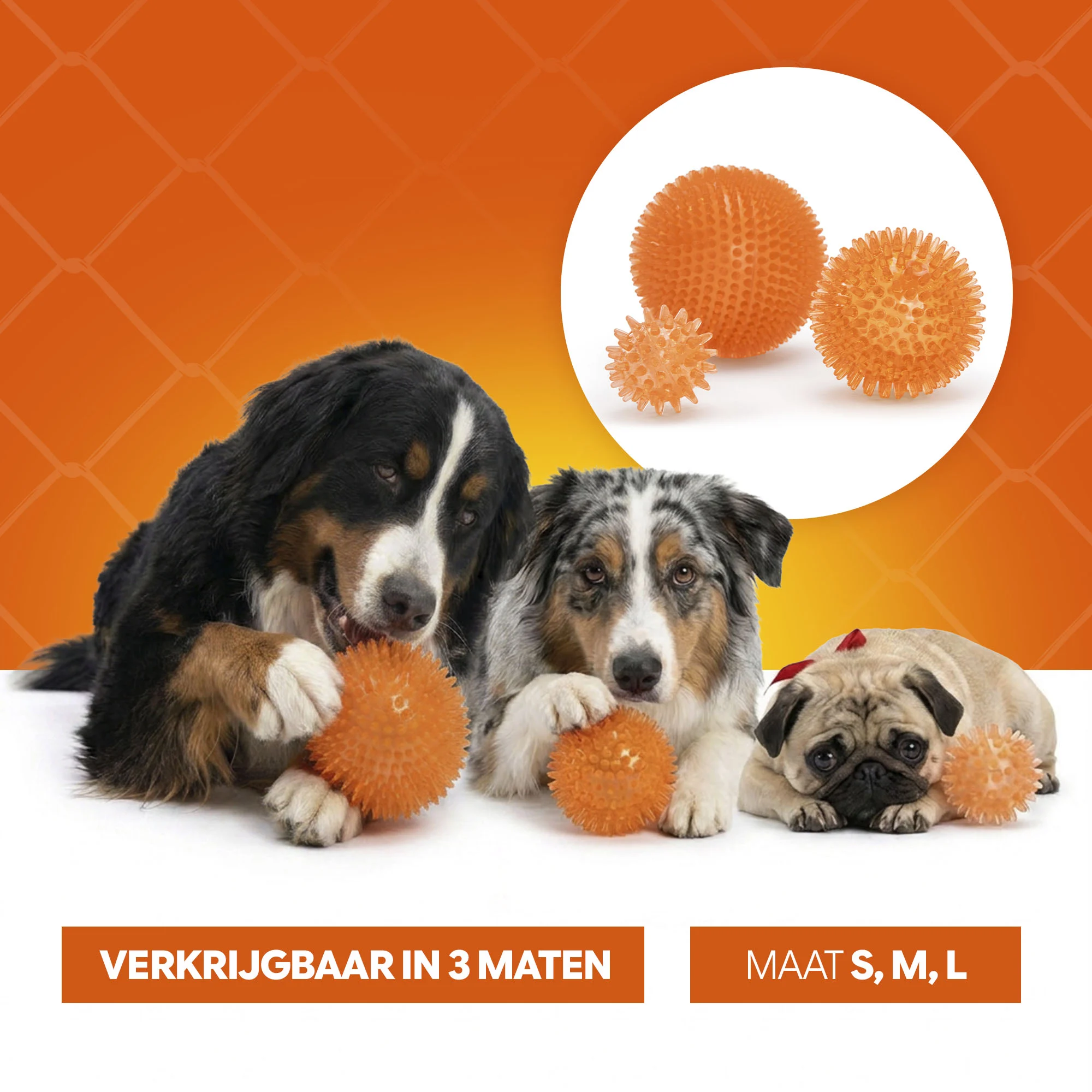 Balle pour chien à picots souples M – Holland Oranje Egelbal – Image 6
