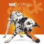 Bâton à rapporter flottant avec couineur S 24 cm – Holland Oranje Apporteerstick – Image 2