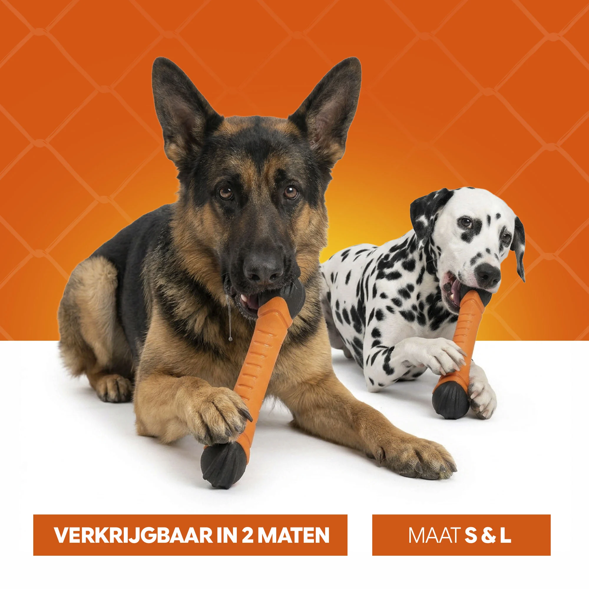 Bâton à rapporter flottant avec couineur S 24 cm – Holland Oranje Apporteerstick – Image 6