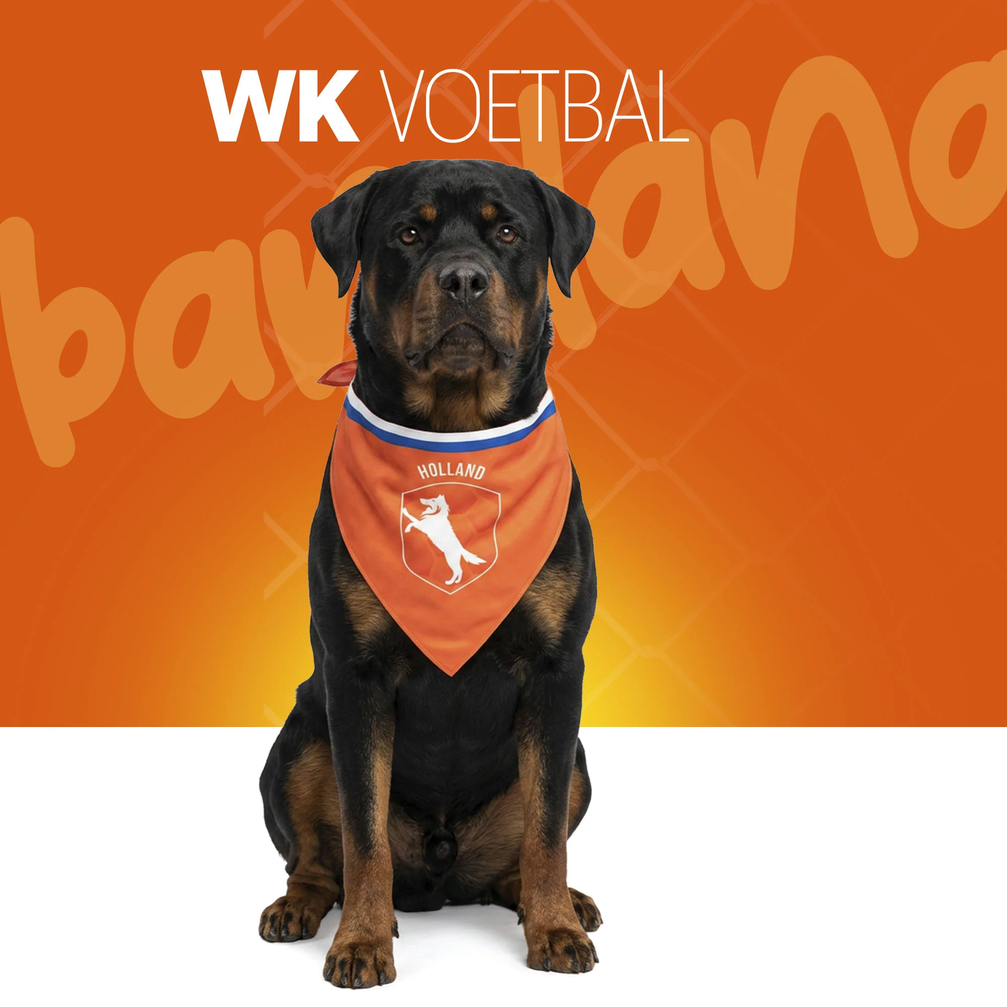 Bandana orange pour chien L pour la fête du Roi – Bandana orange Holland – Image 2
