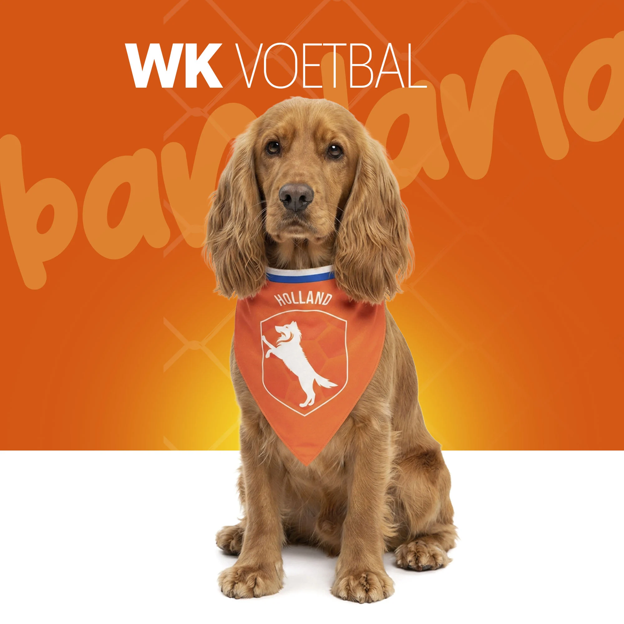 Bandana orange pour chien M pour la fête du Roi – Bandana orange Holland – Image 2