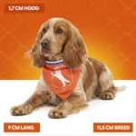 Bandana orange pour chien M pour la fête du Roi – Bandana orange Holland – Image 4