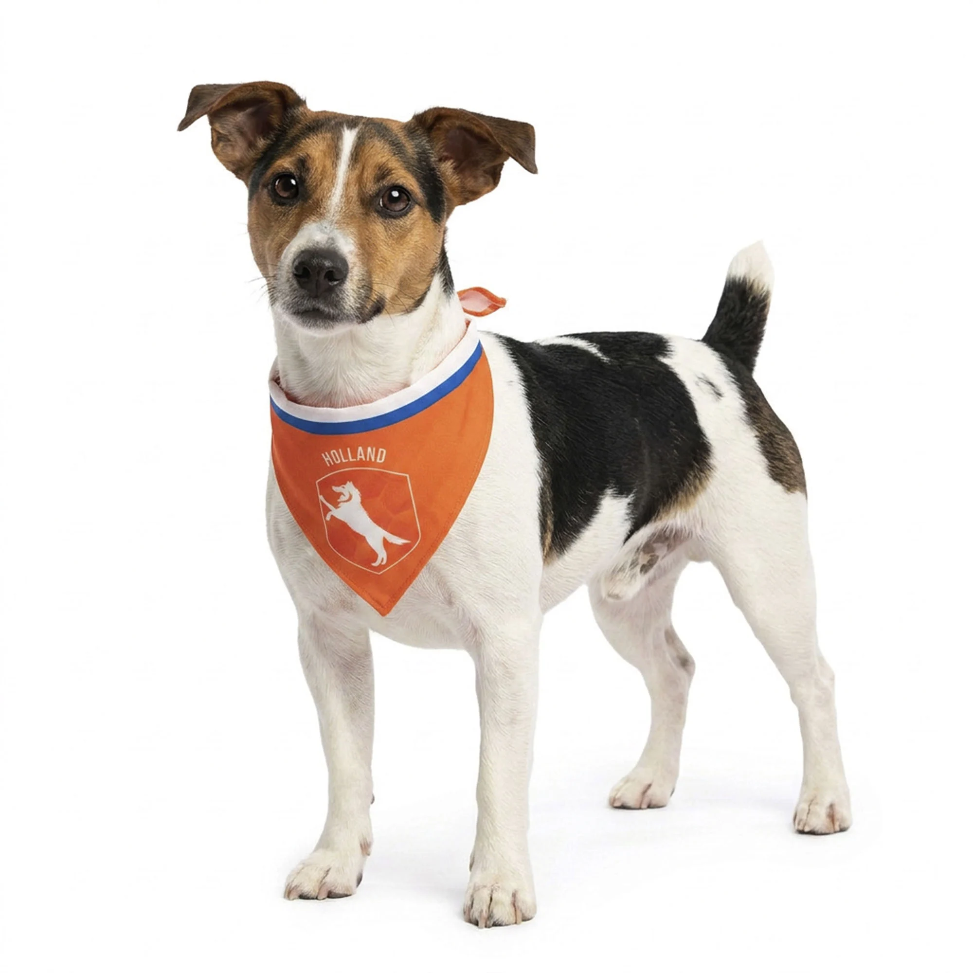 Bandana orange pour chien S pour la fête du Roi – Bandana orange Holland – Image 1