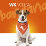 Bandana orange pour chien S pour la fête du Roi – Bandana orange Holland – Image 2