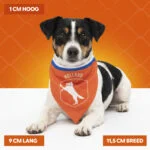 Bandana orange pour chien S pour la fête du Roi – Bandana orange Holland – Image 4