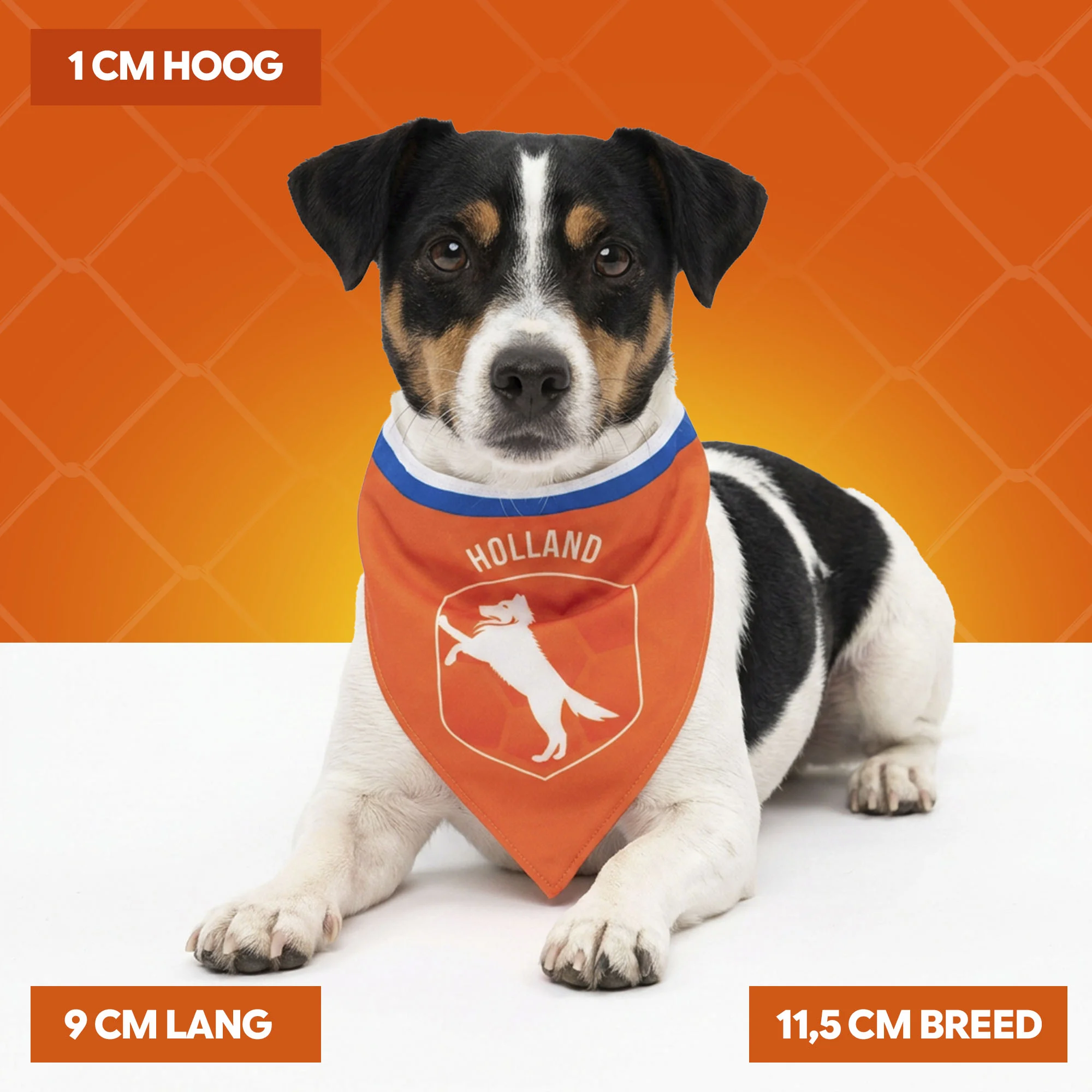 Bandana orange pour chien S pour la fête du Roi – Bandana orange Holland – Image 4