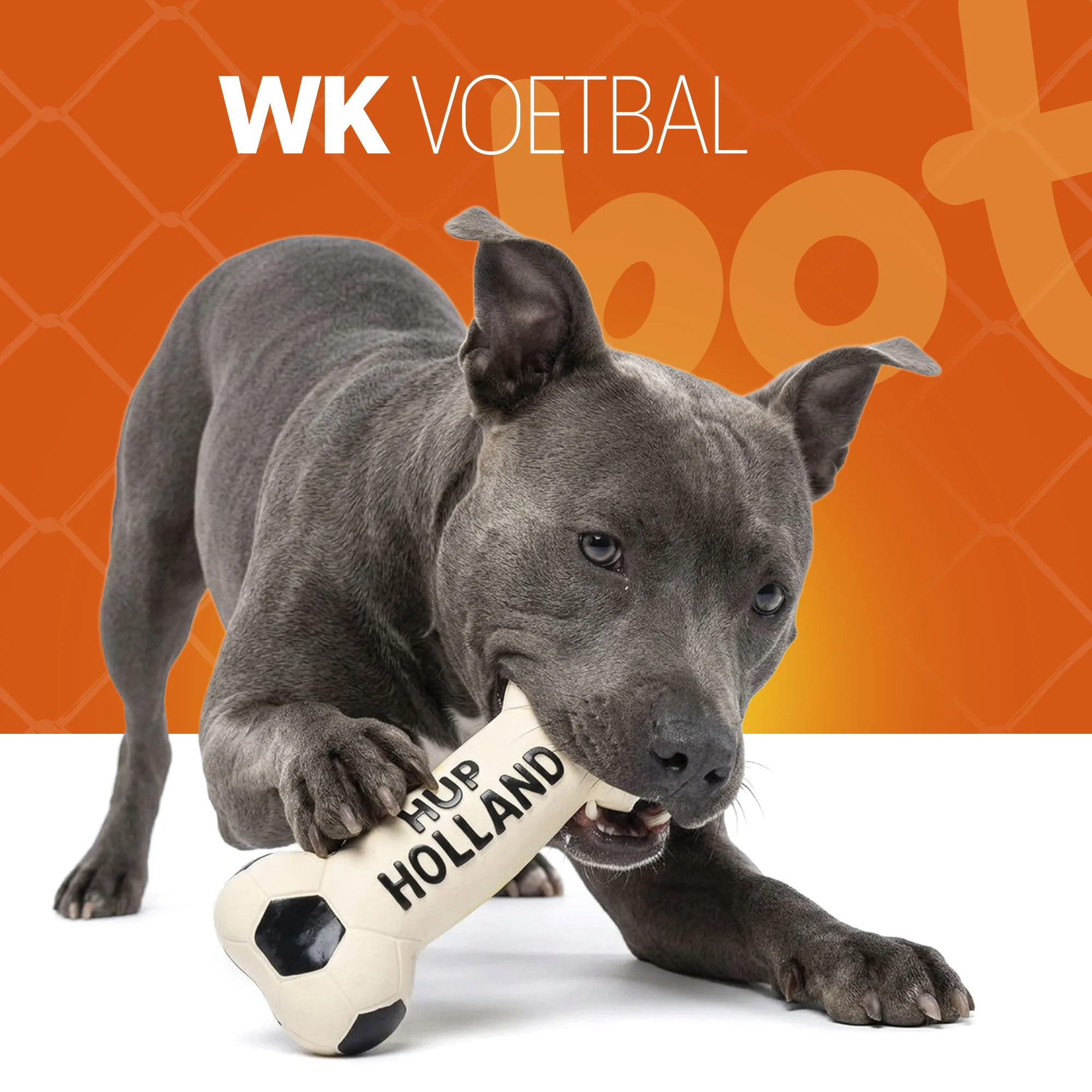 Jouet pour chien en latex en forme d’os, orange – Holland WK Bot – Image 2