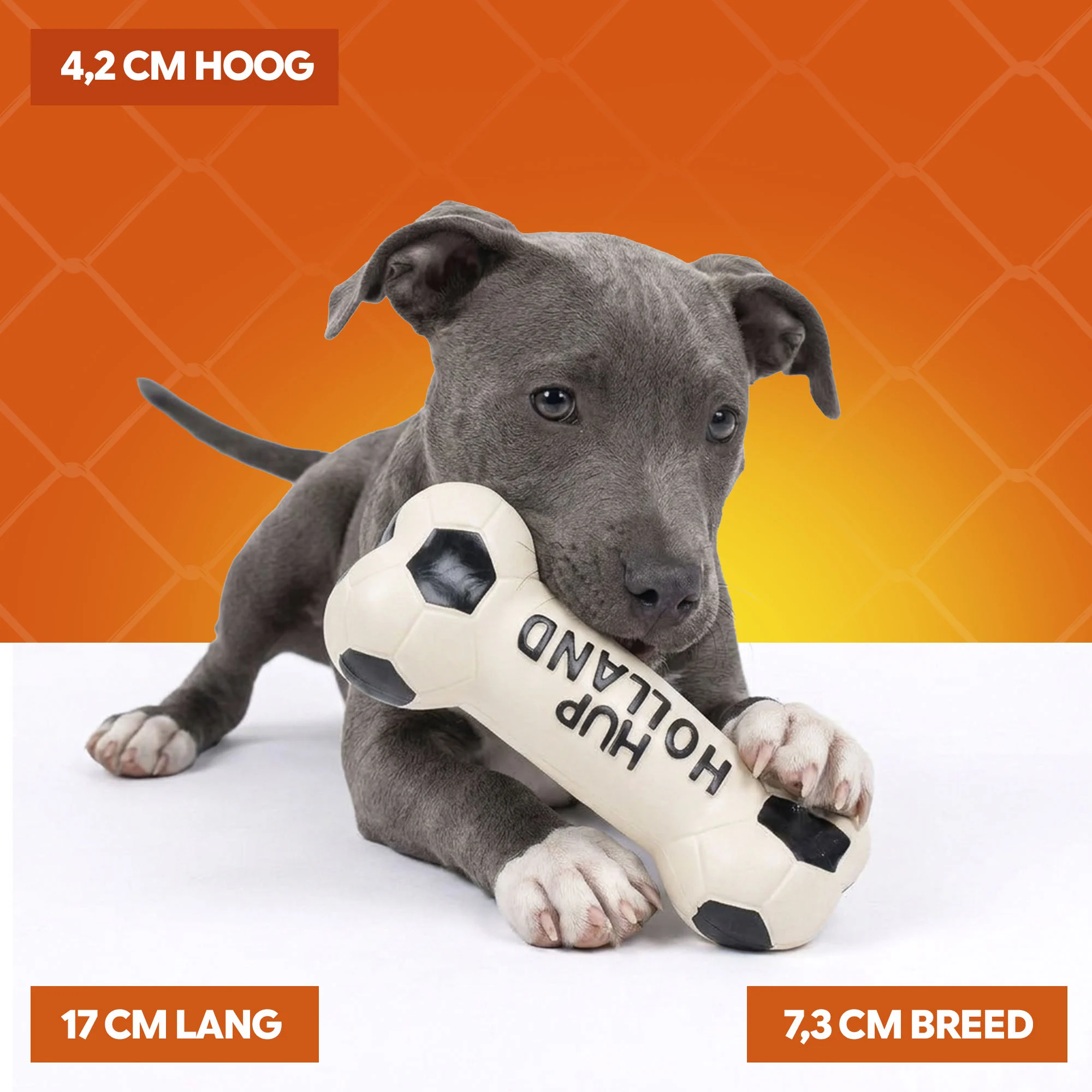 Jouet pour chien en latex en forme d’os, orange – Holland WK Bot – Image 4