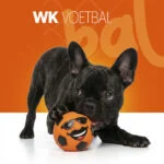 Jouet pour chien en latex avec couineur orange M – Holland Mr. Dutch – Image 2