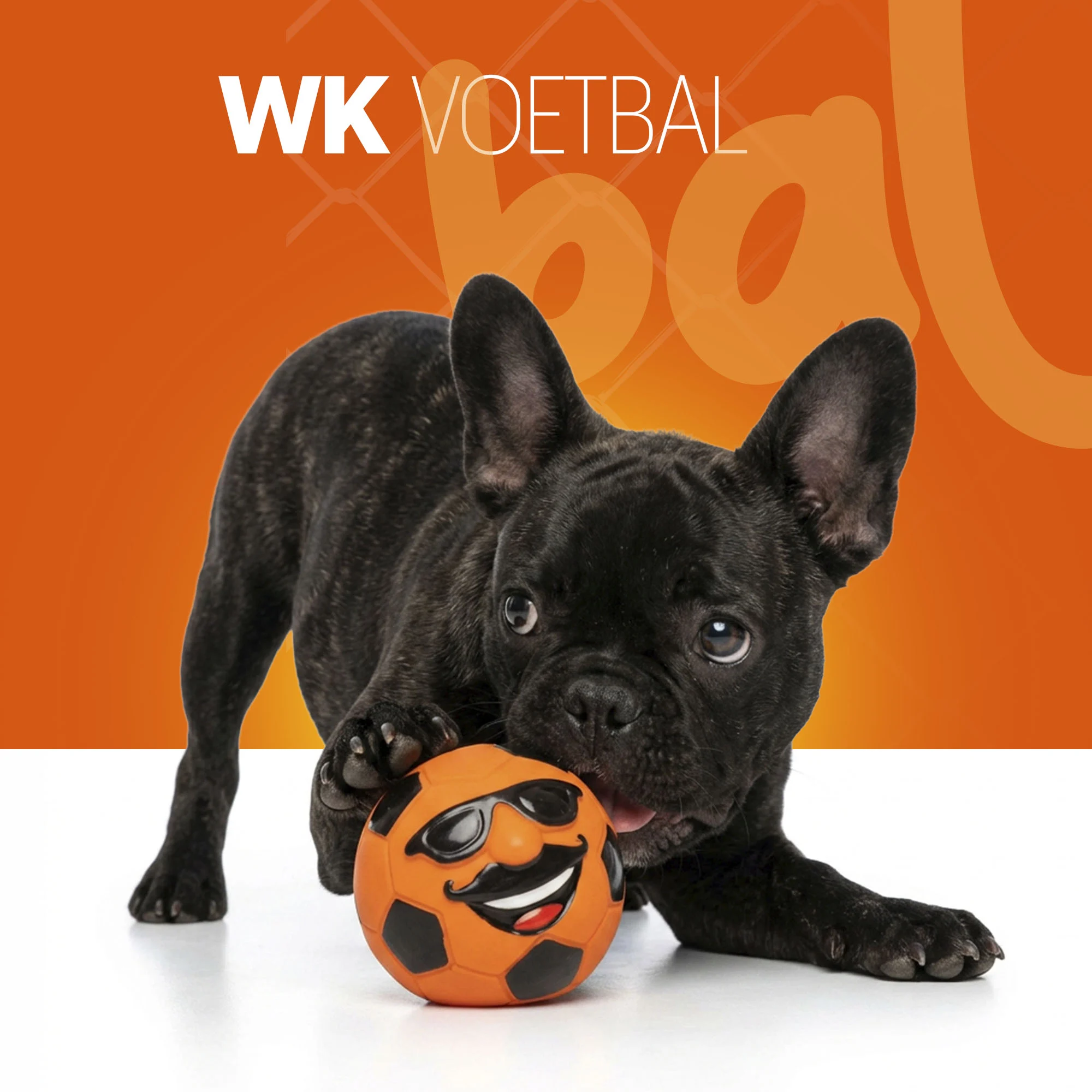 Jouet pour chien en latex avec couineur orange M – Holland Mr. Dutch – Image 2