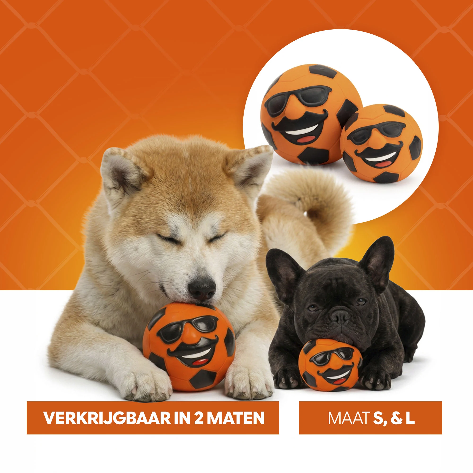 Jouet pour chien en latex avec couineur orange M – Holland Mr. Dutch – Image 6