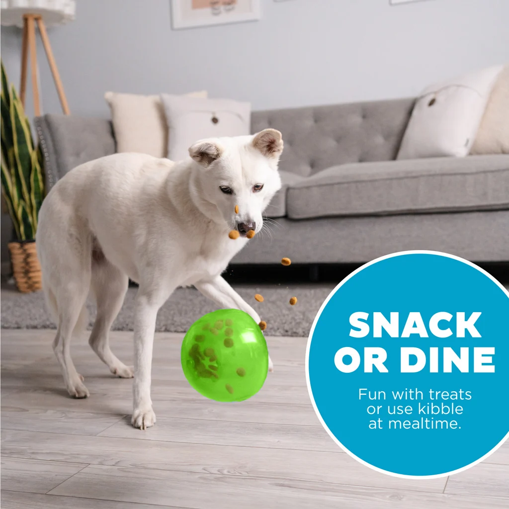Jouet distributeur de friandises pour chiens en TPE – Outward Hound Orbee-Tuff Snoop – Image 4