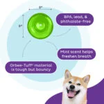 Jouet distributeur de friandises pour chiens en TPE – Outward Hound Orbee-Tuff Snoop – Image 5