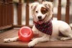 Jouet à friandises pour chiens en TPE – Outward Hound Orbee-Tuff Snoop (Lil' Snoop) – Image 2