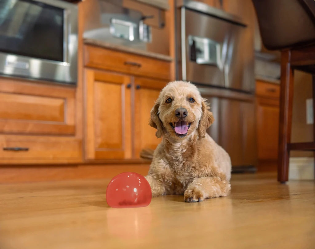 Jouet à friandises pour chiens en TPE – Outward Hound Orbee-Tuff Snoop (Lil' Snoop) – Image 3