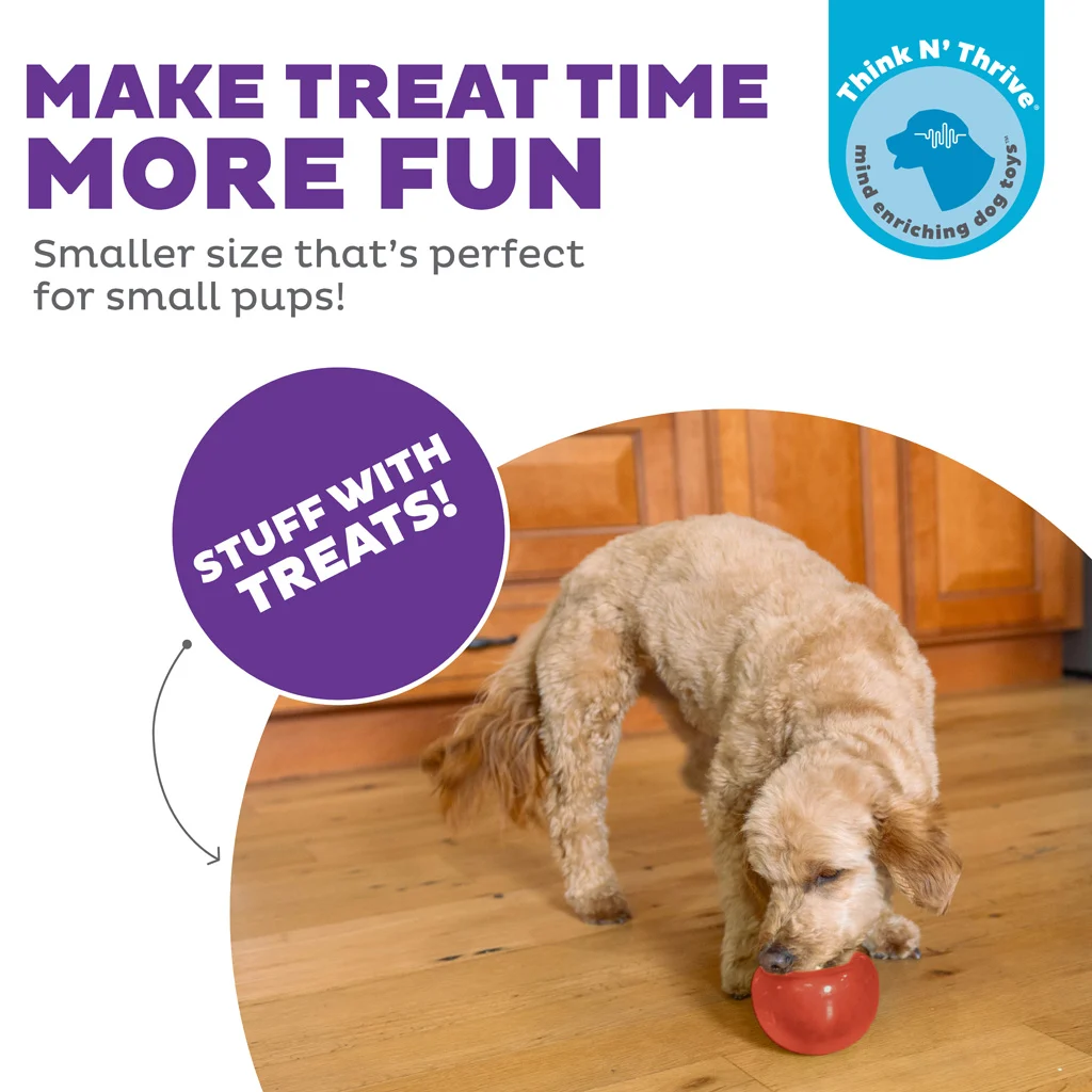 Jouet à friandises pour chiens en TPE – Outward Hound Orbee-Tuff Snoop (Lil' Snoop) – Image 4