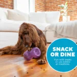 Jouet distributeur de friandises pour chien en TPE – Outward Hound Double Snoop – Image 5
