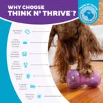Jouet distributeur de friandises pour chien en TPE – Outward Hound Double Snoop – Image 6
