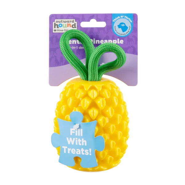 Jouet à mâcher avec corde et parfum fruité – Outward Hound (Kyjen) Dental Pineapple