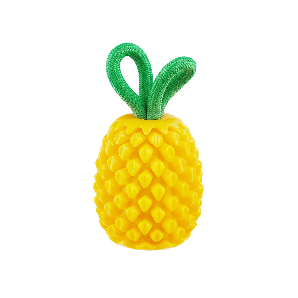 Jouet à mâcher avec corde et parfum fruité – Outward Hound (Kyjen) Dental Pineapple – Image 2