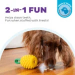 Jouet à mâcher avec corde et parfum fruité – Outward Hound (Kyjen) Dental Pineapple – Image 4