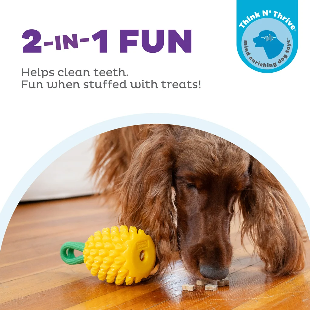 Jouet à mâcher avec corde et parfum fruité – Outward Hound (Kyjen) Dental Pineapple – Image 4