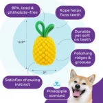 Jouet à mâcher avec corde et parfum fruité – Outward Hound (Kyjen) Dental Pineapple – Image 5