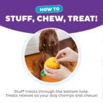 Jouet à mâcher avec corde et parfum fruité – Outward Hound (Kyjen) Dental Pineapple – Image 6