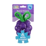 Jouet à mâcher avec corde et parfum fruité – Outward Hound (Kyjen) Dental Grapes