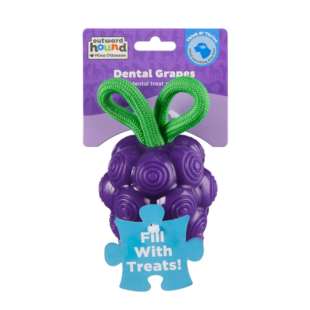 Jouet à mâcher avec corde et parfum fruité – Outward Hound (Kyjen) Dental Grapes – Image 1