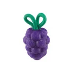 Jouet à mâcher avec corde et parfum fruité – Outward Hound (Kyjen) Dental Grapes – Image 2