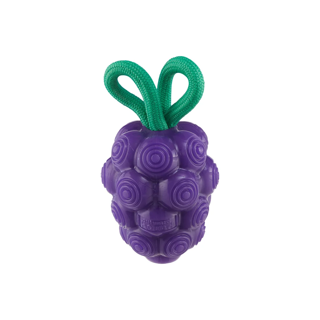 Jouet à mâcher avec corde et parfum fruité – Outward Hound (Kyjen) Dental Grapes – Image 2