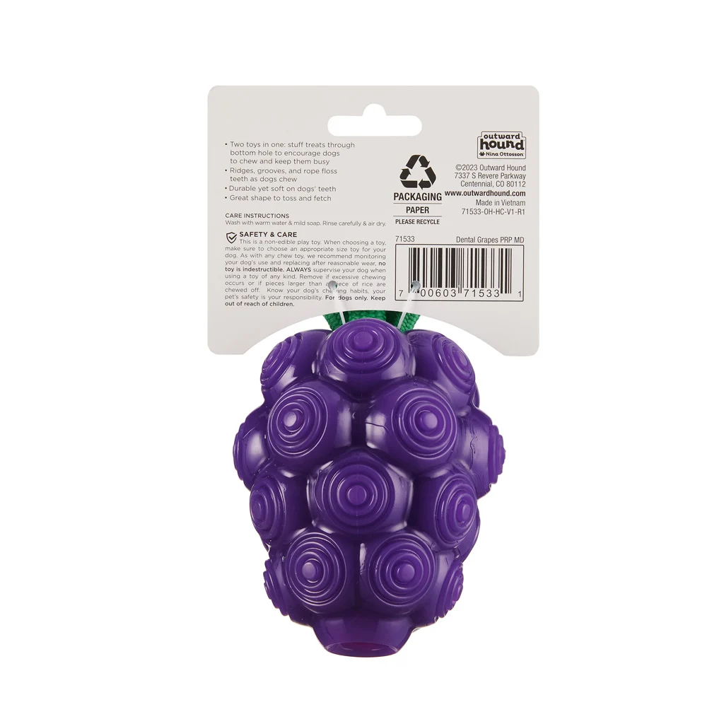 Jouet à mâcher avec corde et parfum fruité – Outward Hound (Kyjen) Dental Grapes – Image 3