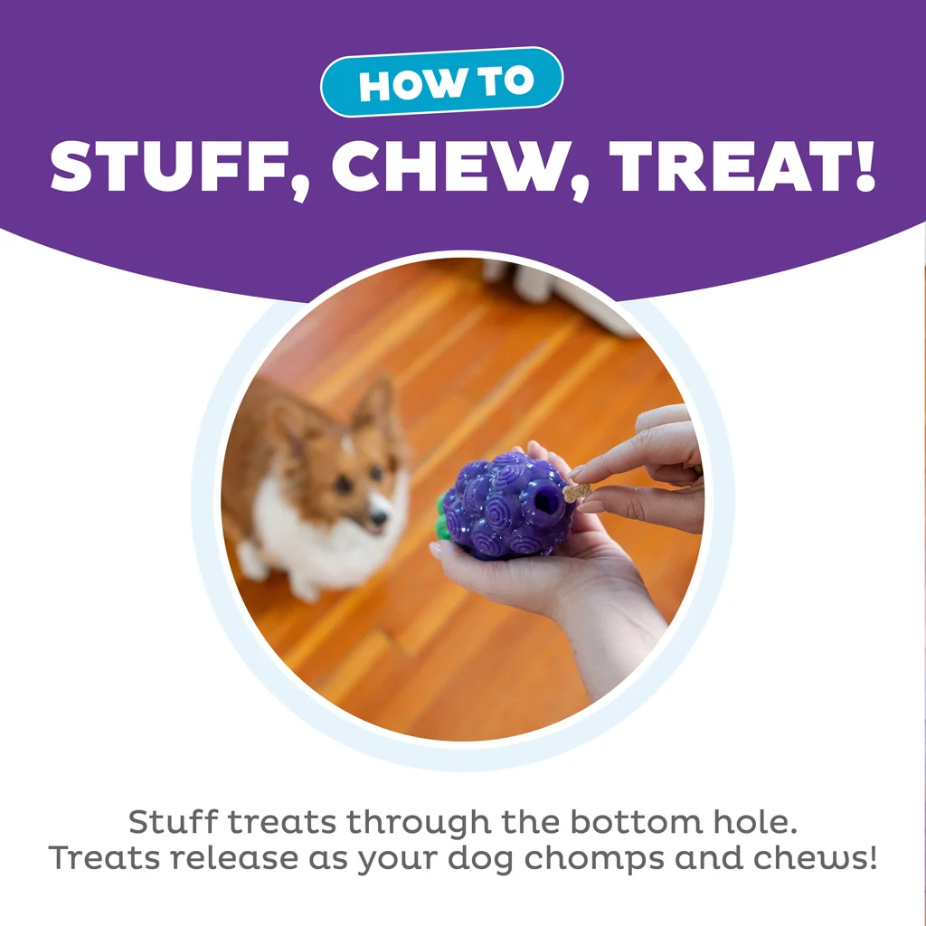 Jouet à mâcher avec corde et parfum fruité – Outward Hound (Kyjen) Dental Grapes – Image 6
