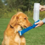 Bouteille avec écuelle 500 ml – Pawise Travel Bottle – Image 4