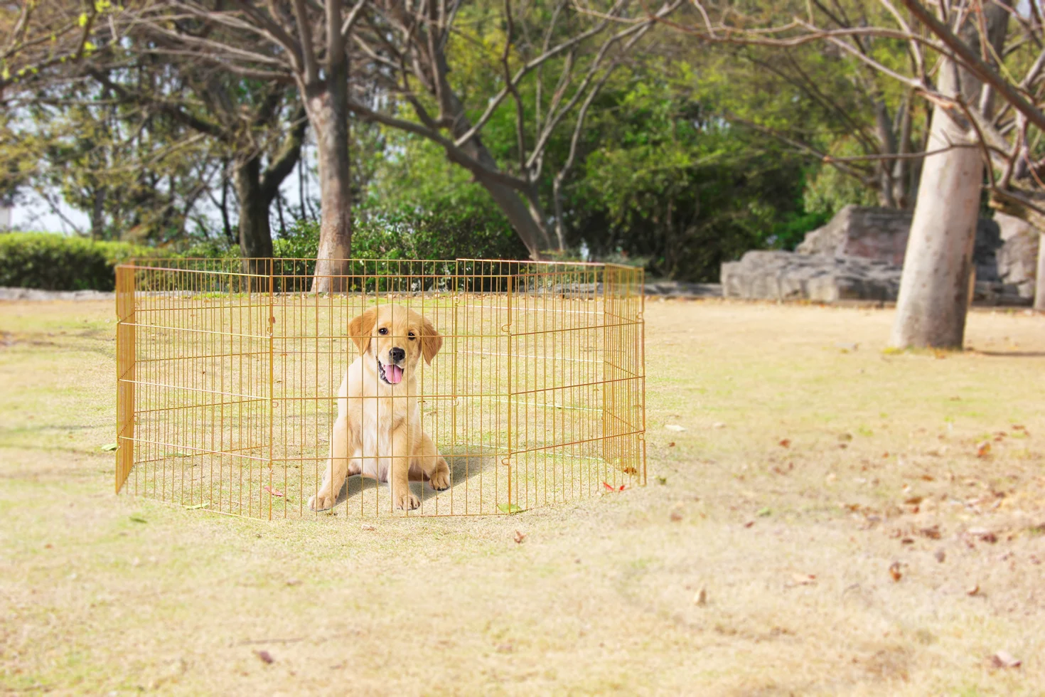 PAWI12556_PAWI12558GROEP.png Parc pliable pour chien, 8 panneaux de 91 x 60 cm – Pawise Dog Play Pen L – Image 1