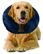 Collerette gonflable de protection L, 33 à 45 cm – Pawise Inflatable Protective Collar – Image 2