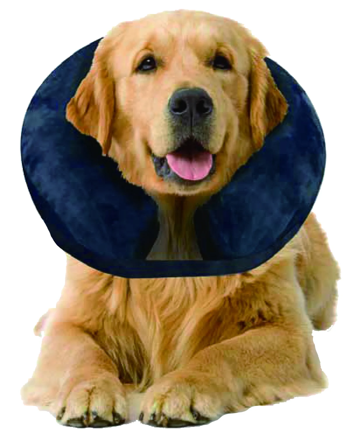 Collerette gonflable de protection L, 33 à 45 cm – Pawise Inflatable Protective Collar – Image 2