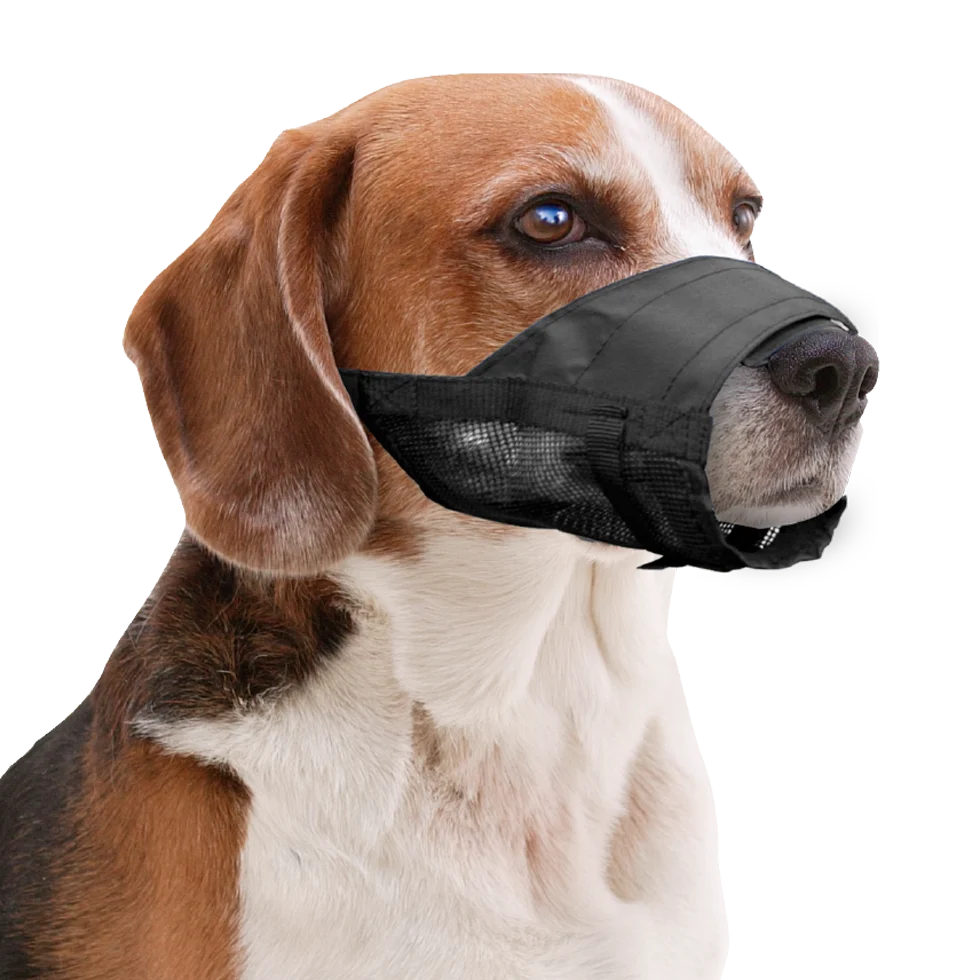 Muselière pour chien en nylon, réglable, noire, taille XS – Pawise Adjustable Nylon Muzzle XS – Image 2