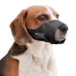 Muselière pour chien en nylon, réglable, taille M – Pawise Adjustable Nylon Muzzle M – Image 2