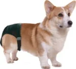 Culotte de chaleurs pour chien avec 1 serviette absorbante, tour de ventre de 16 à 23 cm – Pawise Sanitary Pants XS – Image 2