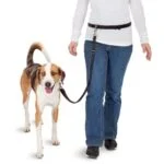 Laisse mains libres pour courir avec son chien, avec extrémité élastique pour ceinture – Pawise Hands Free Doggy Jogger Kit – Image 3