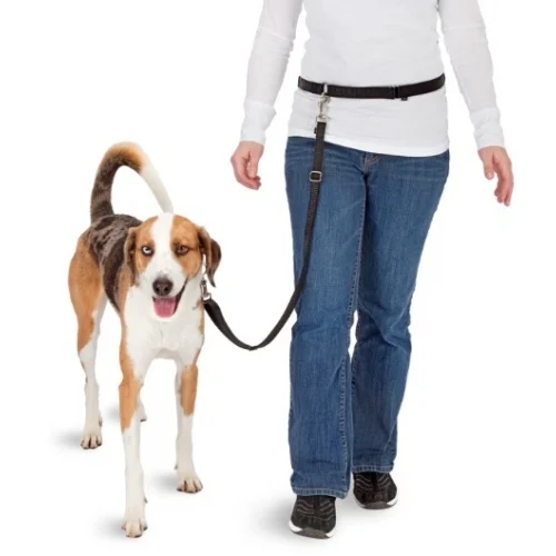 Laisse mains libres pour courir avec son chien, avec extrémité élastique pour ceinture – Pawise Hands Free Doggy Jogger Kit – Image 3