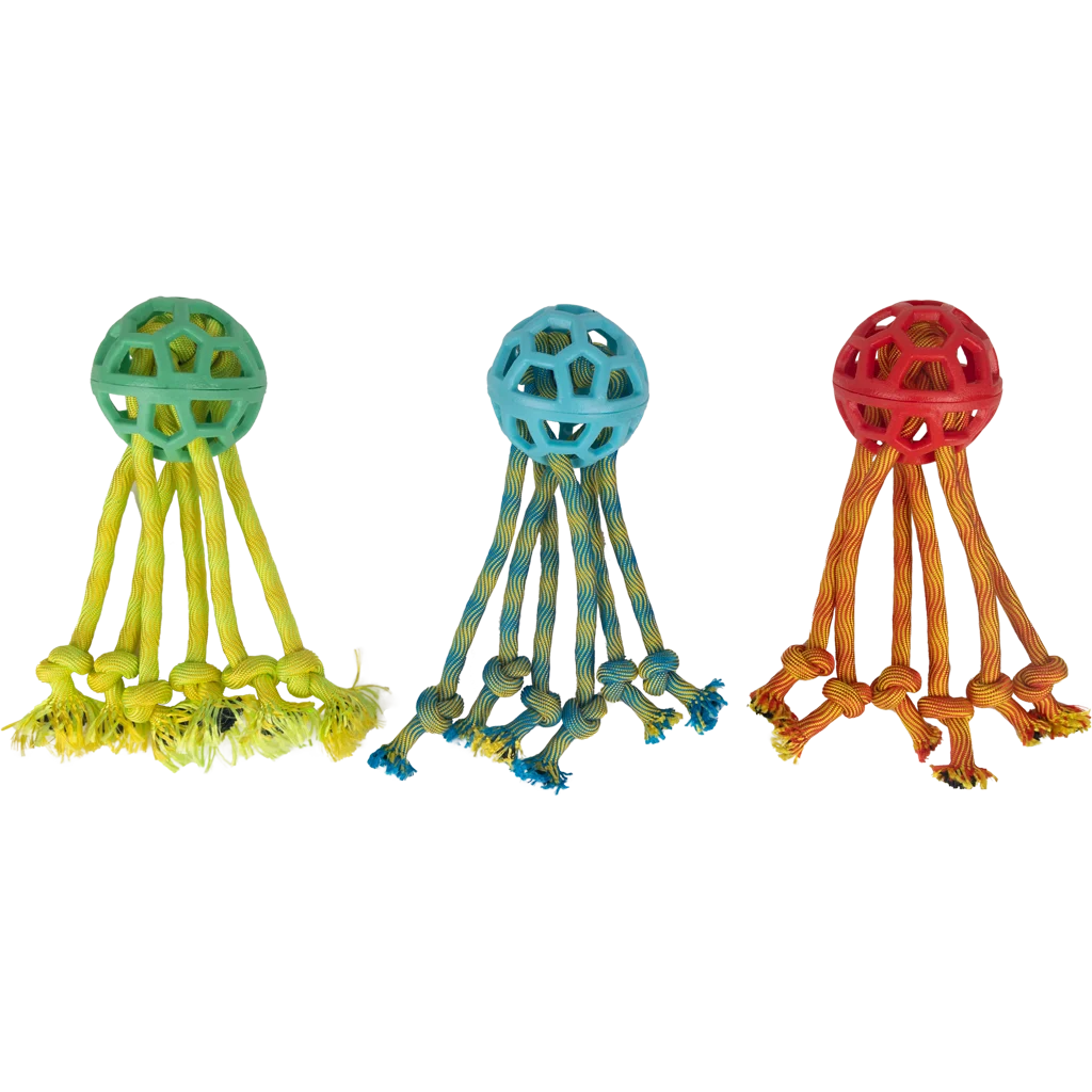 Balle pour chien avec cordes pour les jeux de traction, assortiment – Pawise Play-N-Tug Rope Octopus – Image 1