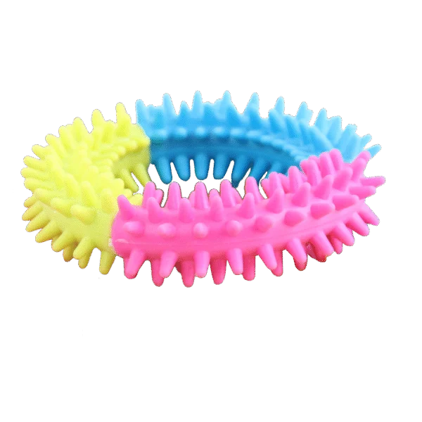 Anneau pour chien aux couleurs de l’arc-en-ciel, Pawise Rainbow World Ring S