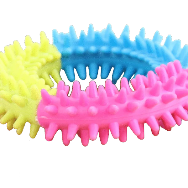 Anneau de jeu pour chien aux couleurs de l’arc-en-ciel – Pawise Rainbow World Ring L