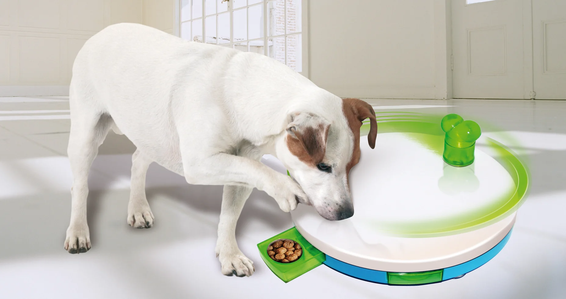 Puzzle pour chien avec tiroirs, 27,5 x 4 cm – Pawise Level 2 Spinning Feeder – Image 2